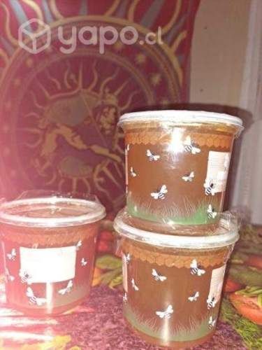 miel de ulmo por kilos, miel 100% natural