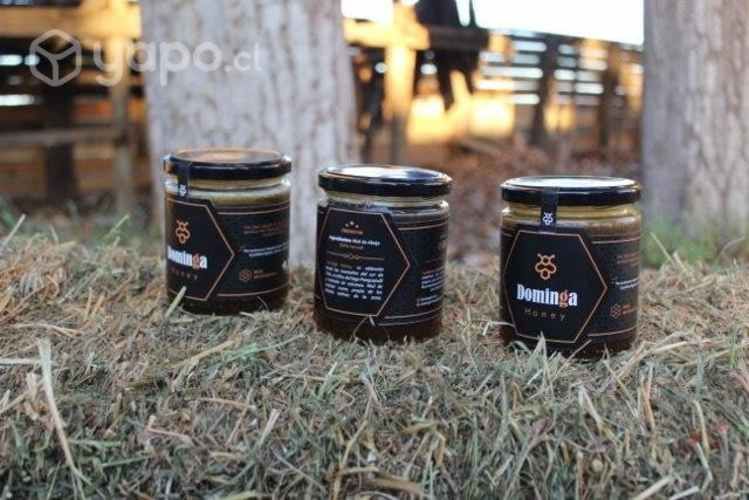 Miel de abeja (NO ADULTERADA)