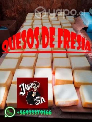 Quesos de fresia de alta calidad
