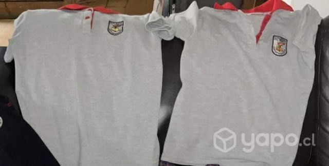 Poleras santa Teresita