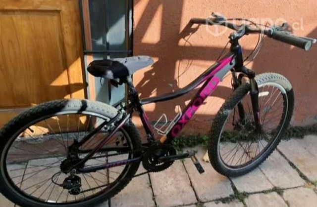 Montainbike Oxford Venus 1