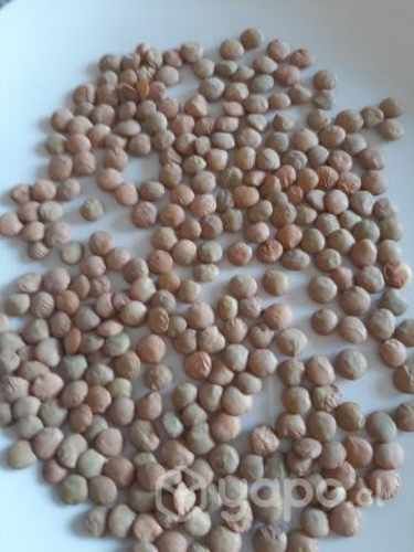 Legumbres y frutos secos