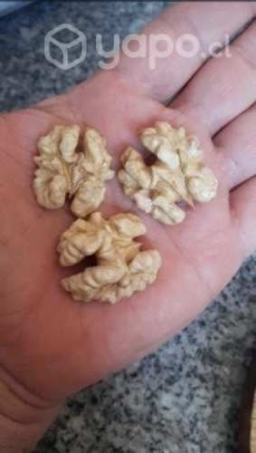 Legumbres y frutos secos