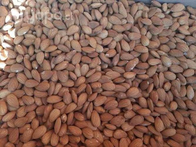 Legumbres y frutos secos