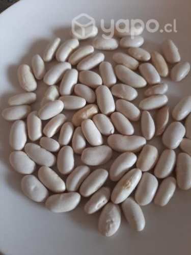 Legumbres y frutos secos