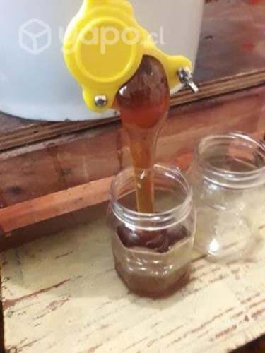 Miel de abeja pura