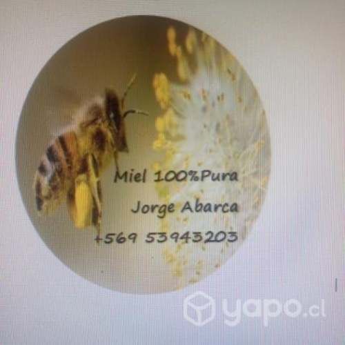 Miel de abeja pura