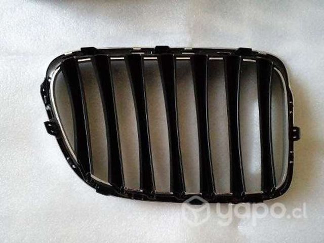 Riñón Rejilla BMW E Nueva Original