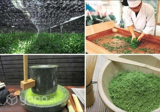 Pack Té Matcha Envasado X 3 Unidades 100 Grs * 3