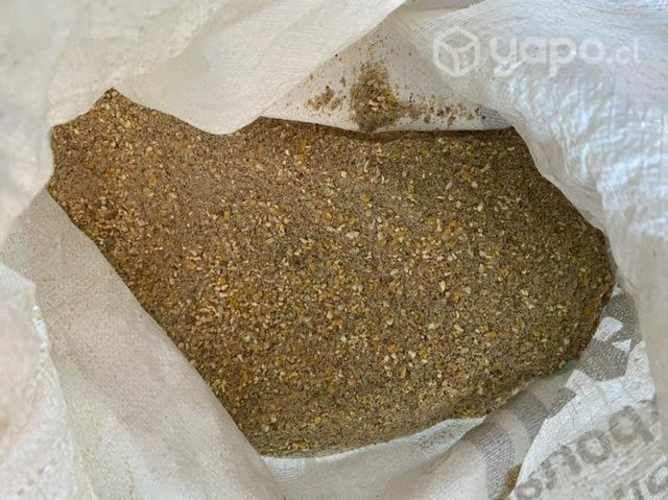 Alimento ponedora para gallinas/ sacos 20 kg