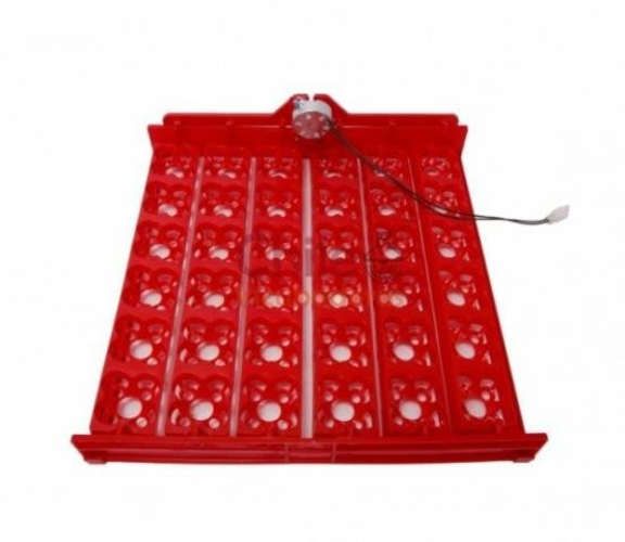 Bandeja de huevos 36 huevos