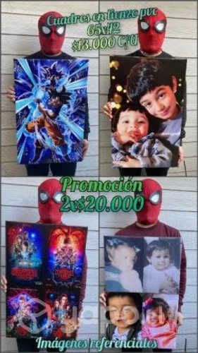 Cuadros en lienzo pvc