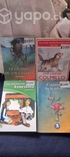 Libros de lectura escolar