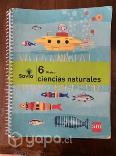 Libro ciencias naturales SM 6to básico