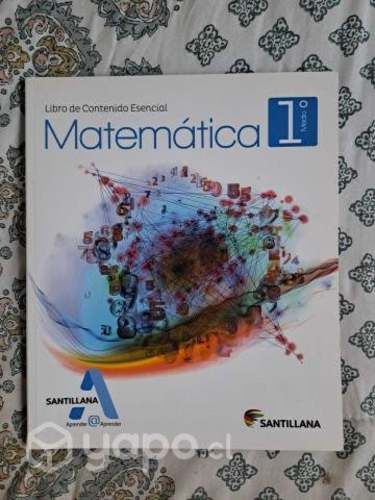 Matematica 1º Medio Aprender