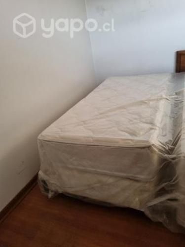 Cama box spring rosen 1 plaza