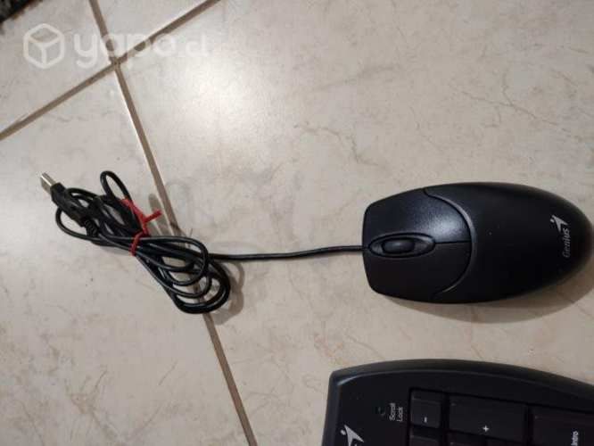 Teclado y mouse