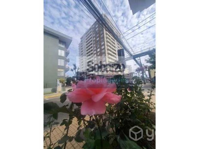 DEPARTAMENTO Centro de Osorno - Centro de O…