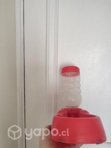 Accesorios uñas y accesorios Gatos