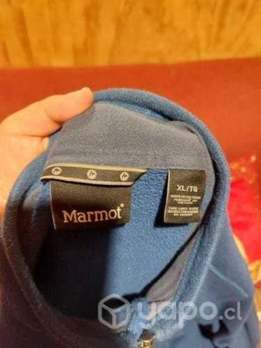 marmot impecable