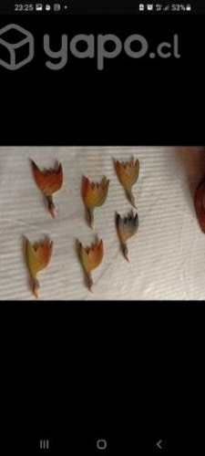 artesanía en madera