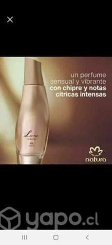 Necesito perfume luna radiante