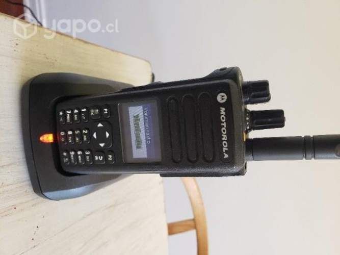 Motorola DGP 8550