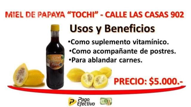 Miel & jarabe de papaya tochi