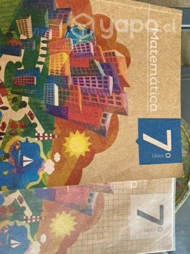 Libro matemáticas 7 básico