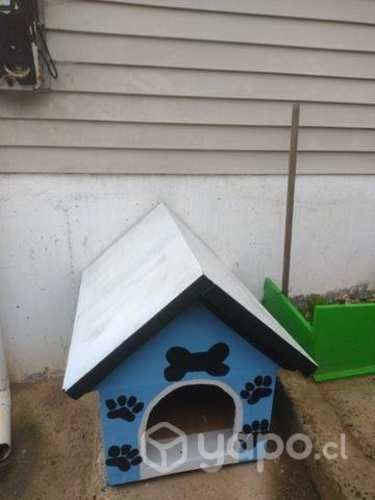 Hermosa casita perro