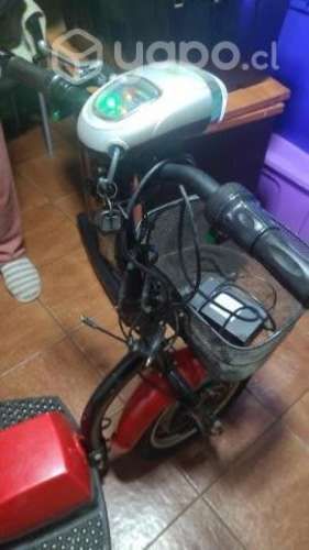 Scooter electrico para adulto