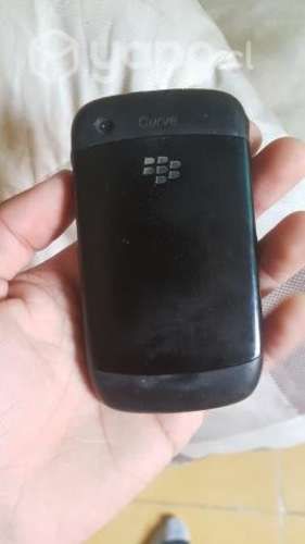 Blackberry Curve