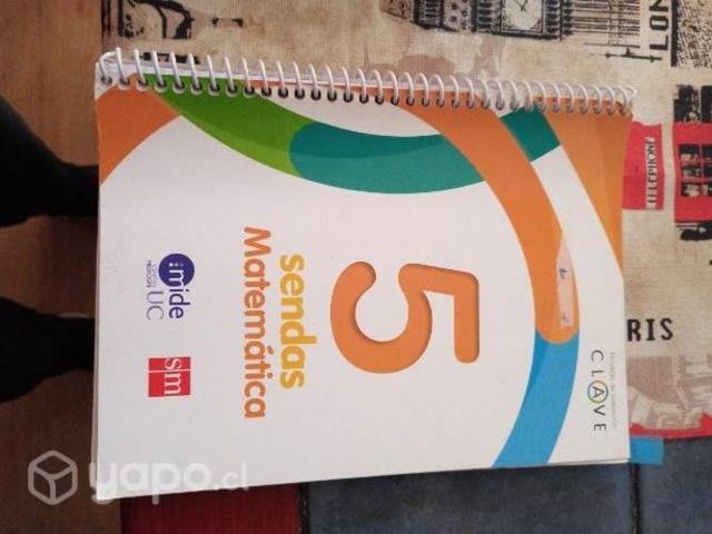 Matemática sendas 5