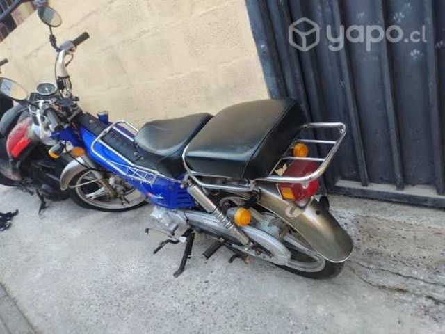 Bicimoto pantera 2021