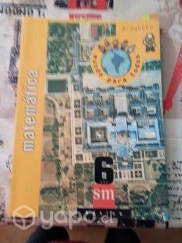 Matemática 6 basico