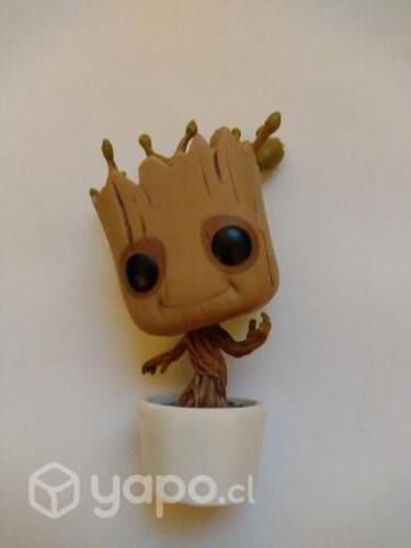 groot De colección
