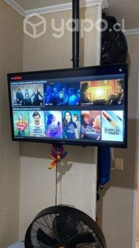Tv por renovación