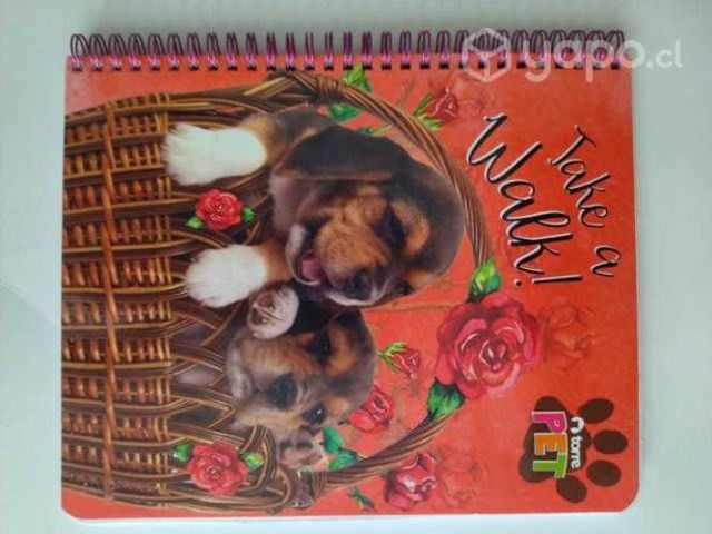 Cuadernos universitarios tiernos