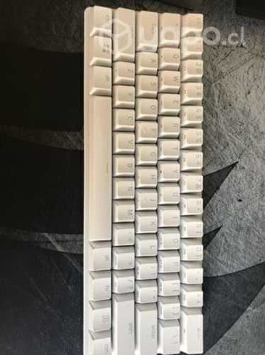 Raezer Huntsaman mini