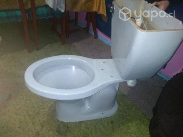 Taza de baño con su estanque