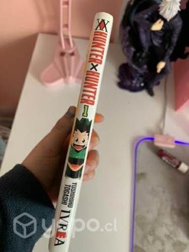 Manga Hunter x Hunter
