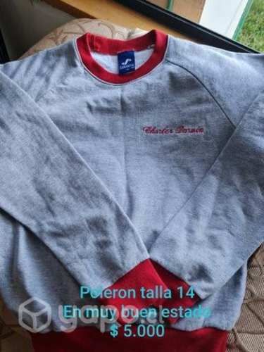 Poleron y polera Colegio Charles Darwin