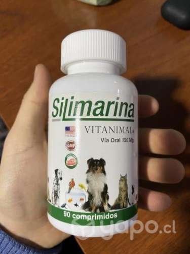 Silimarina 90 comprimidos nueva