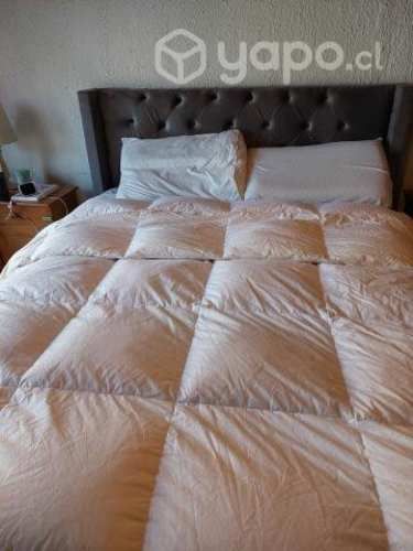 Plumones de Pluma usados