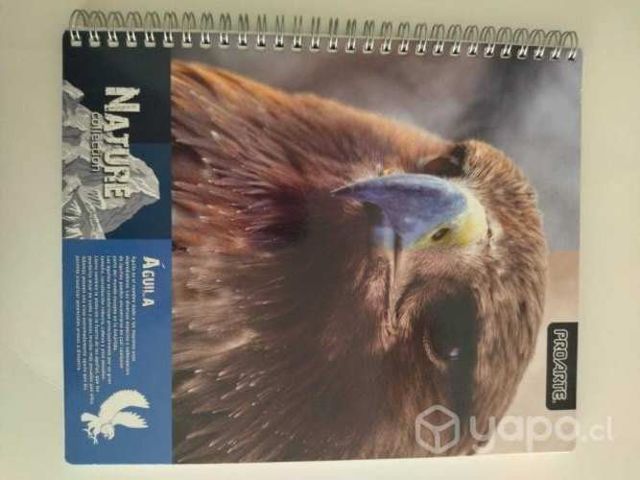 Cuadernos animales proarte