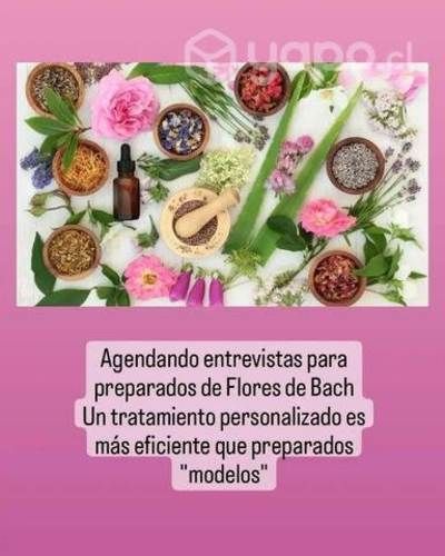 Terapia Floral de Bach a bajo costo