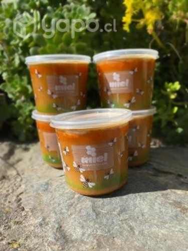 Miel Artesanal 1 Kg