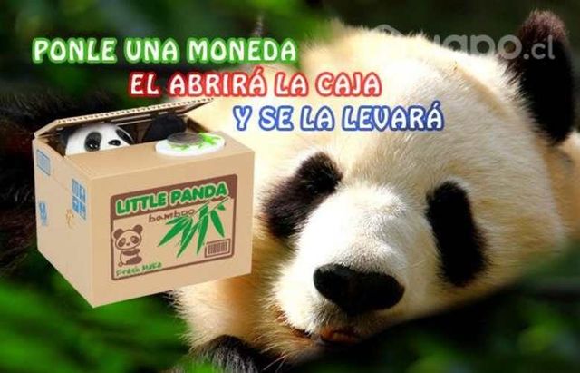 Alcancía Electrónica Panda Roba Monedas