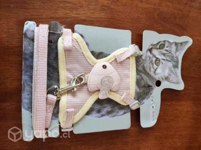 Arnés para gato