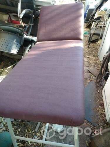 Camilla (s) clinica (s)